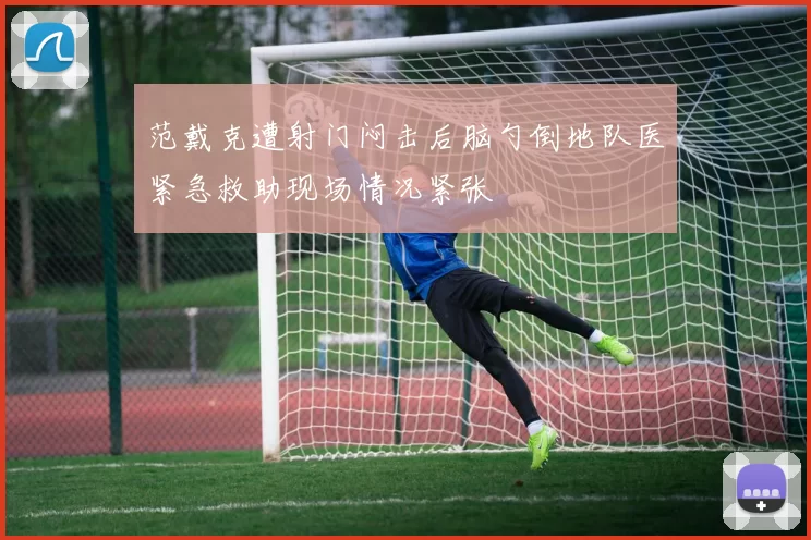 范戴克遭射门闷击后脑勺倒地队医紧急救助现场情况紧张